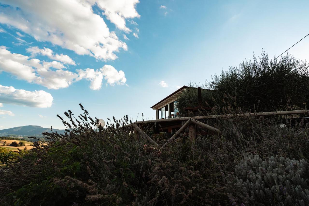 Collescipoli Il Pozzo Country House المظهر الخارجي الصورة