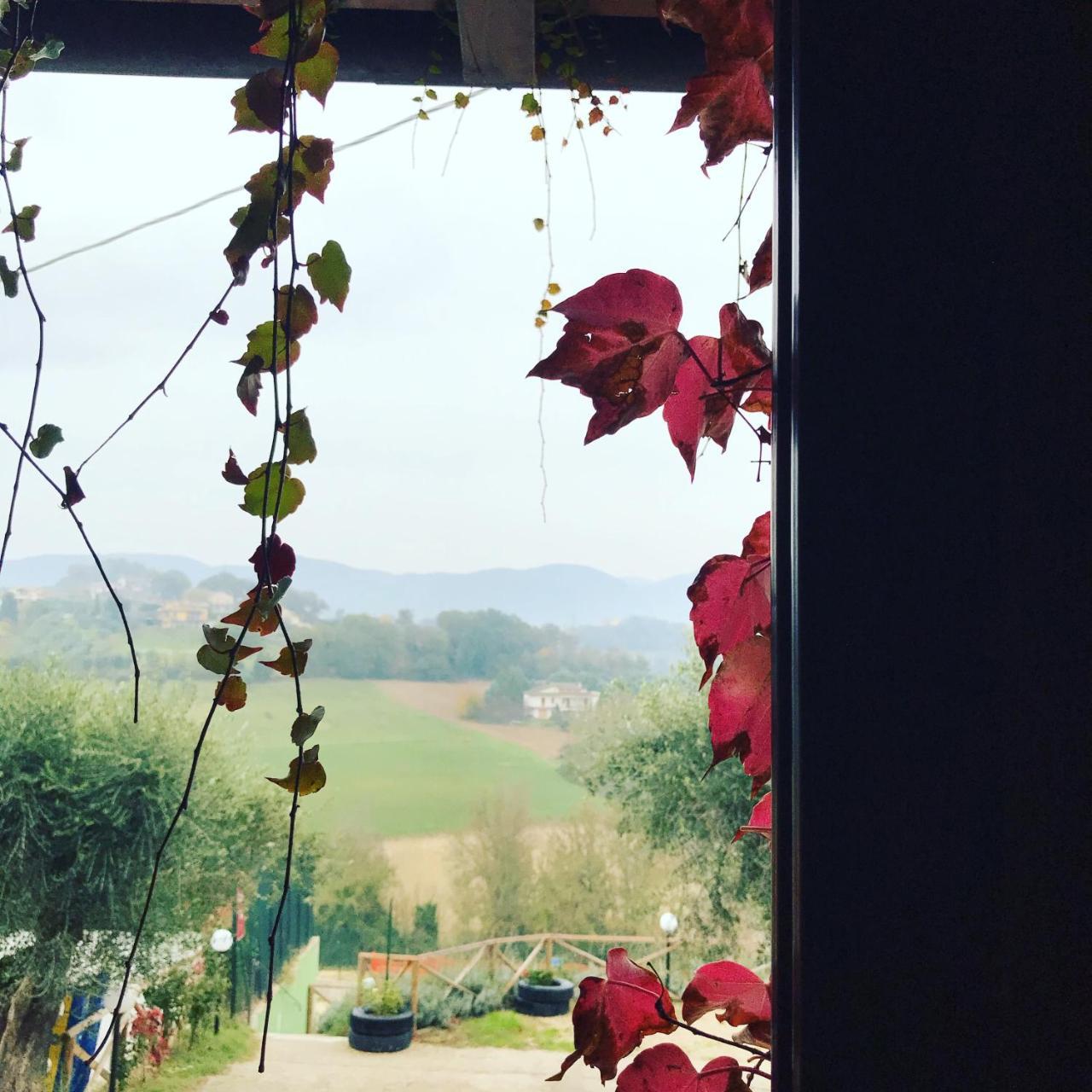 Collescipoli Il Pozzo Country House المظهر الخارجي الصورة